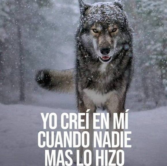 rodriguezhector